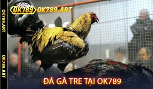 Đá Gà Tre