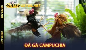 Đá Gà Campuchia