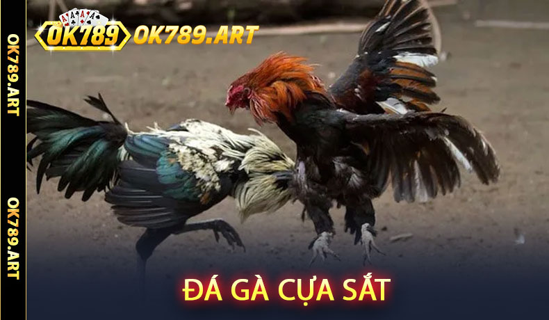 Đá Gà Cựa Sắt